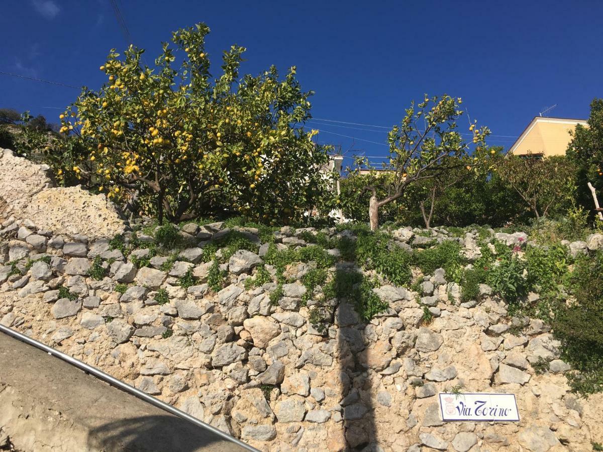 לינה וארוחת בוקר קונקה דיי מריני Rifugio Stellato מראה חיצוני תמונה
